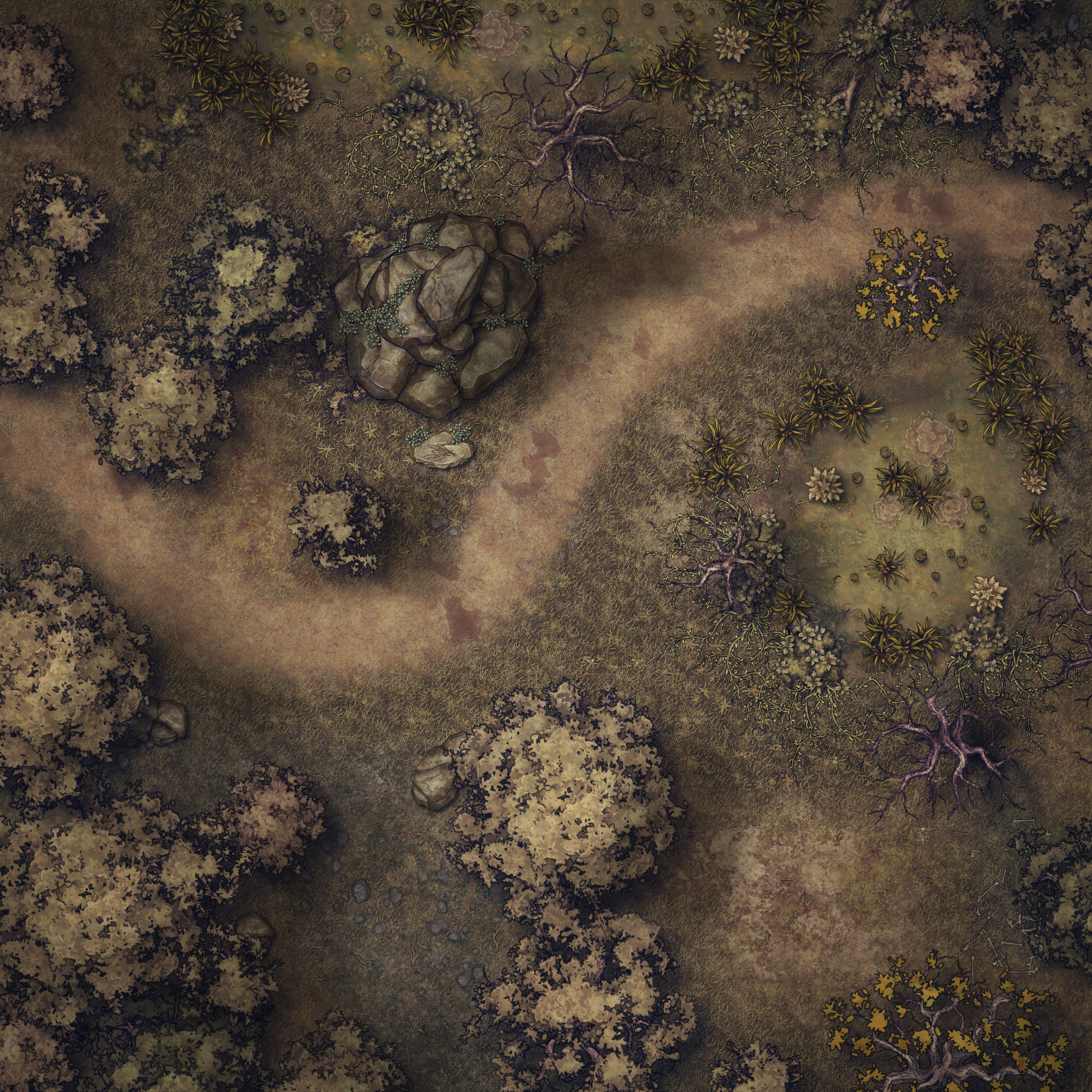 Forest 1.4.jpg